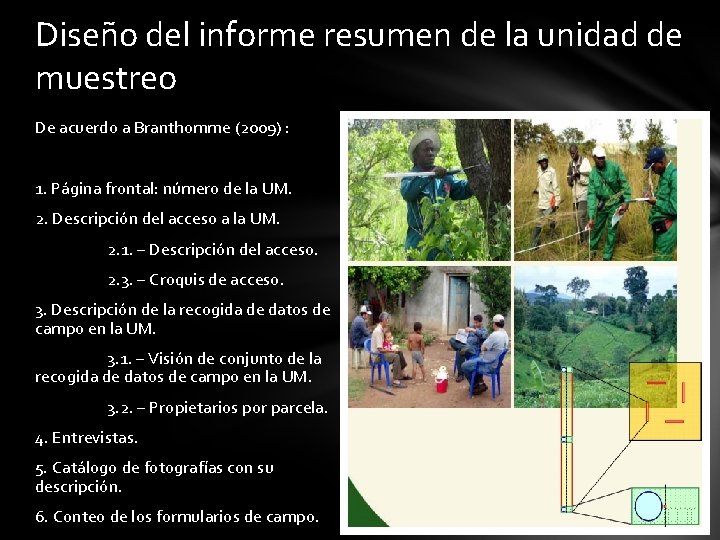 Diseño del informe resumen de la unidad de muestreo De acuerdo a Branthomme (2009)