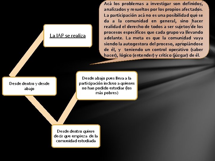 La IAP se realiza Desde dentro y desde abajo Acá los problemas a investigar