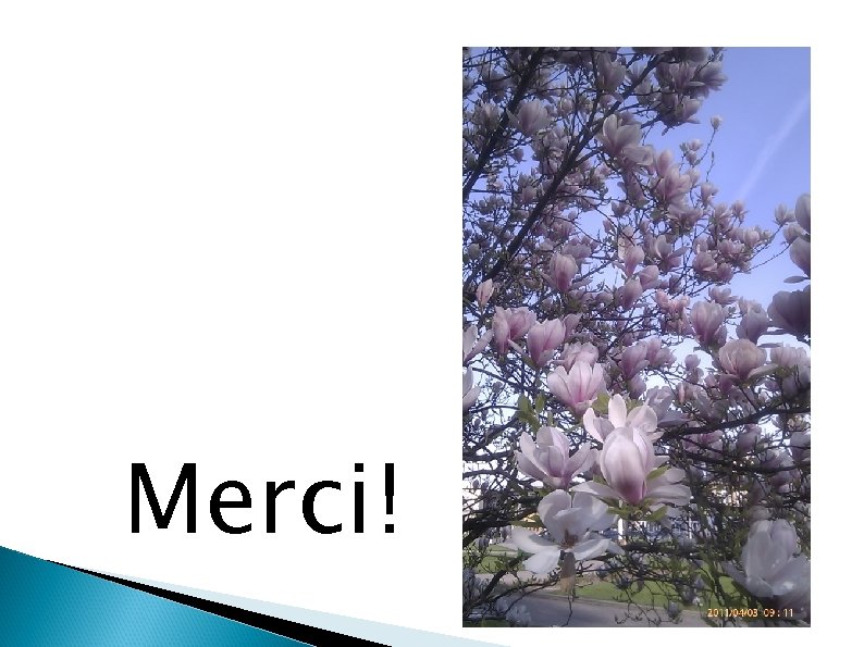 Merci! 