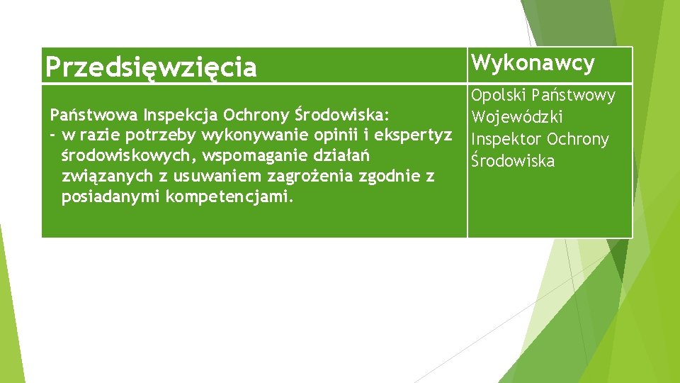 Przedsięwzięcia Państwowa Inspekcja Ochrony Środowiska: - w razie potrzeby wykonywanie opinii i ekspertyz środowiskowych,