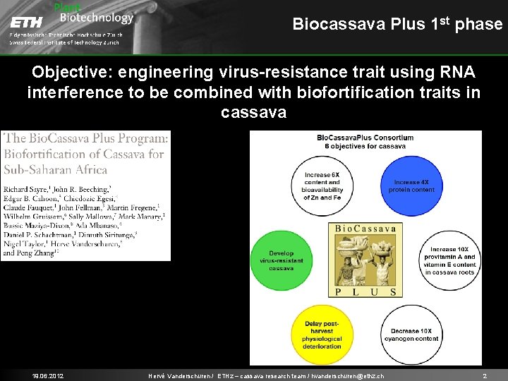 Biocassava Plus 1 st phase Objective: engineering virus-resistance trait using RNA interference to be