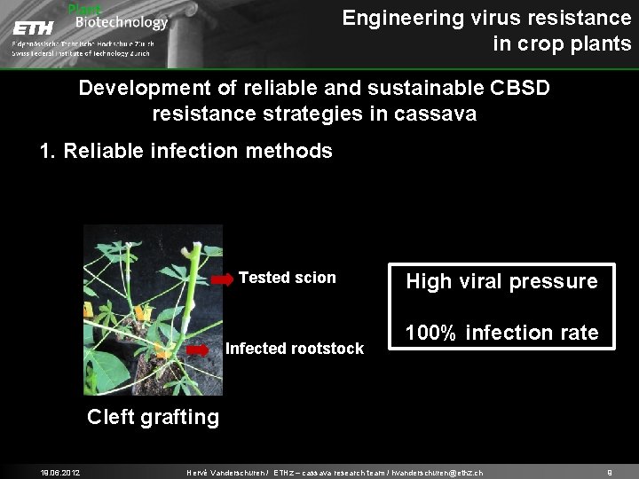 Engineering virus resistance in crop plants Development of reliable and sustainable CBSD resistance strategies