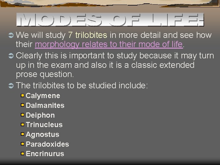 Ü We will study 7 trilobites in more detail and see how their morphology