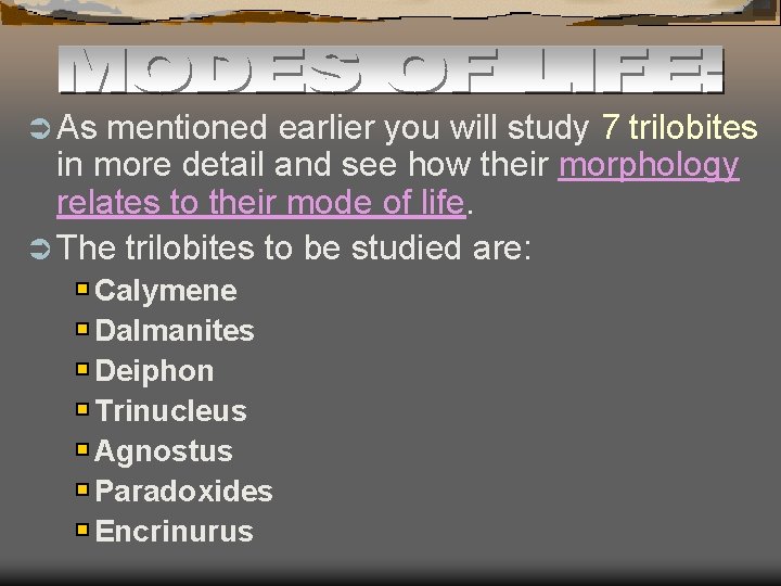 Ü As mentioned earlier you will study 7 trilobites in more detail and see