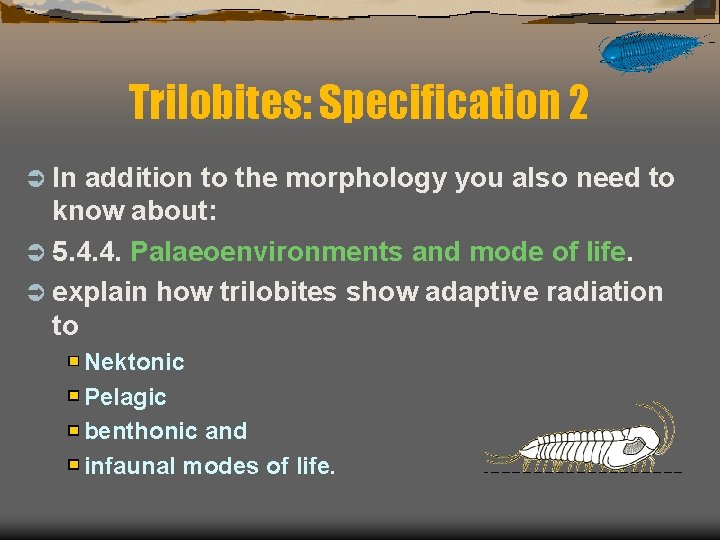 Trilobites: Specification 2 Ü In addition to the morphology you also need to know