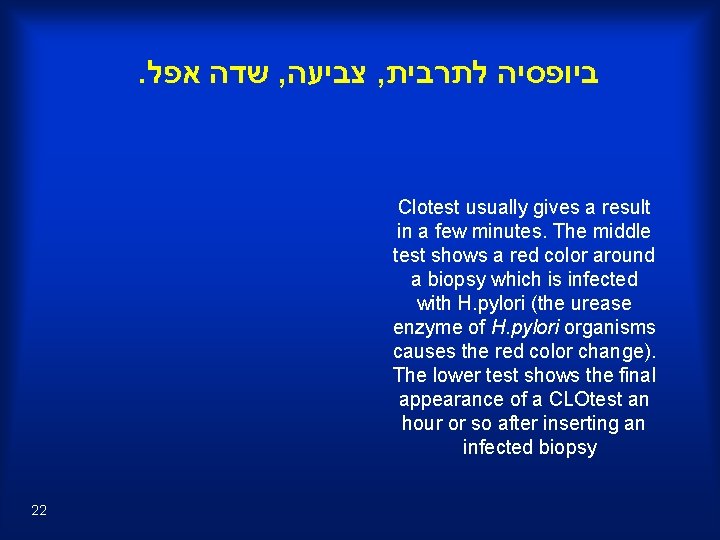 . שדה אפל , צביעה , ביופסיה לתרבית Clotest usually gives a result in