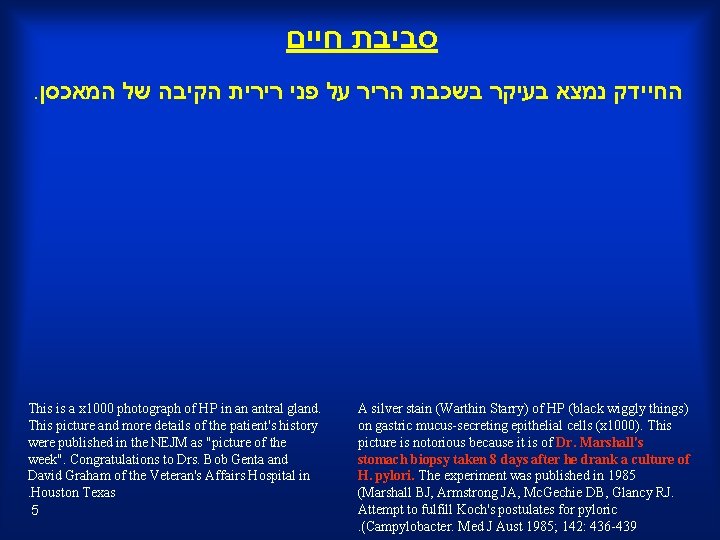  סביבת חיים . המאכסן החיידק נמצא בעיקר בשכבת הריר על פני רירית הקיבה