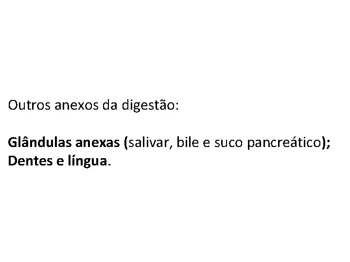 Outros anexos da digestão: Glândulas anexas (salivar, bile e suco pancreático); Dentes e língua.