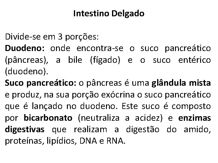 Intestino Delgado Divide-se em 3 porções: Duodeno: onde encontra-se o suco pancreático (pâncreas), a