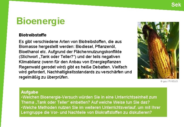 Sek Bioenergie Biotreibstoffe Es gibt verschiedene Arten von Biotreibstoffen, die aus Biomasse hergestellt werden:
