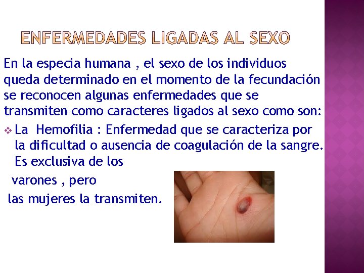 En la especia humana , el sexo de los individuos queda determinado en el