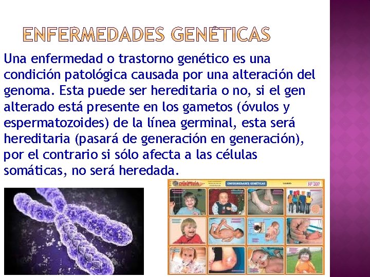 Una enfermedad o trastorno genético es una condición patológica causada por una alteración del