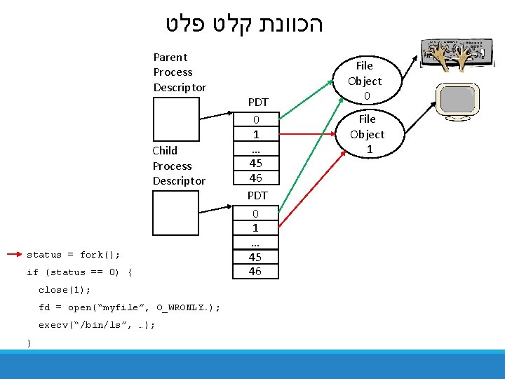 הכוונת קלט פלט Parent Process Descriptor Child Process Descriptor status = fork(); if הכוונת קלט פלט Parent Process Descriptor Child Process Descriptor status = fork(); if