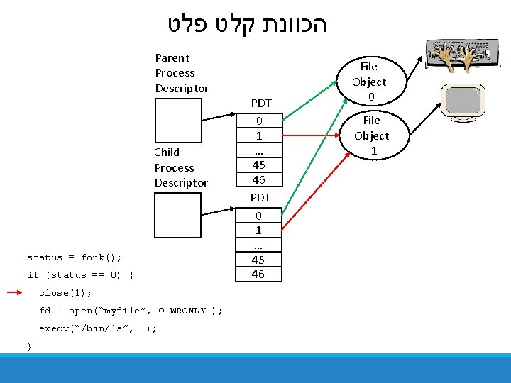  הכוונת קלט פלט Parent Process Descriptor Child Process Descriptor status = fork(); if