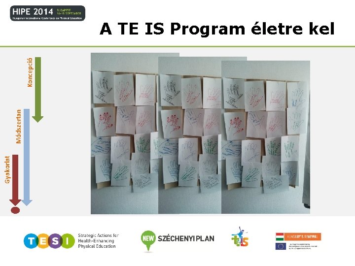 Gyakorlat Módszertan Koncepció A TE IS Program életre kel 