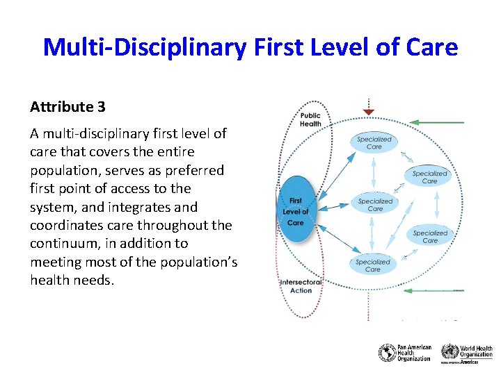 Multi-Disciplinary First Level of Care Attribute 3 A multi-disciplinary first level of care that