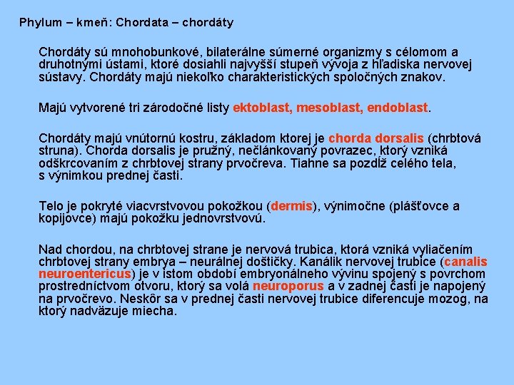 Phylum – kmeň: Chordata – chordáty Chordáty sú mnohobunkové, bilaterálne súmerné organizmy s célomom