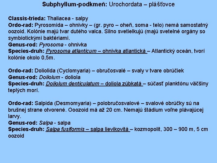 Subphyllum-podkmeň: Urochordata – plášťovce Classis-trieda: Thaliacea - salpy Ordo-rad: Pyrosomida – ohnivky – (gr.