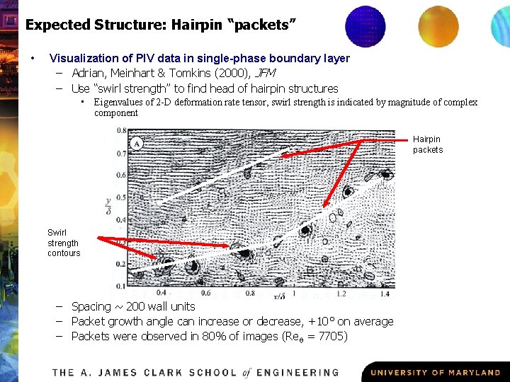 Expected Structure: Hairpin “packets” • Visualization of PIV data in single-phase boundary layer –