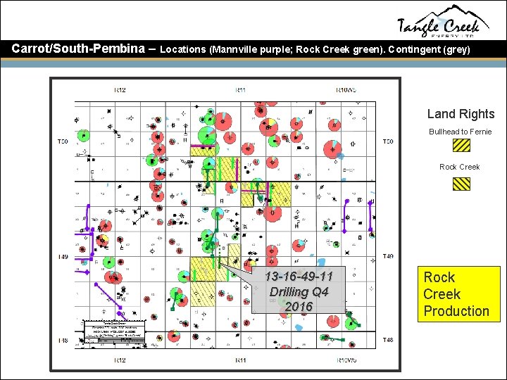 Carrot/South-Pembina – Locations (Mannville purple; Rock Creek green). Contingent (grey) Land Rights Bullhead to