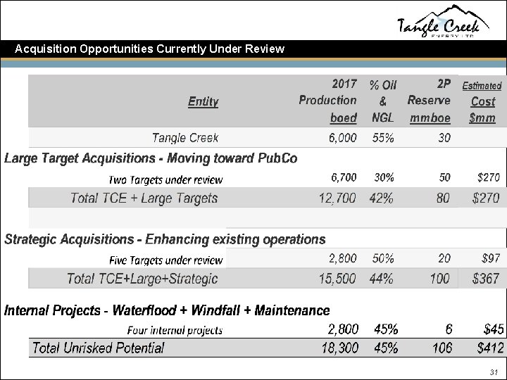 Acquisition Opportunities Currently Under Review 31 