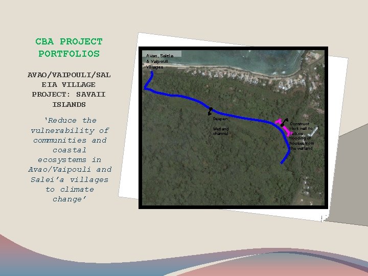 CBA PROJECT PORTFOLIOS Avao, Saleia & Vaipouli Villages AVAO/VAIPOULI/SAL EIA VILLAGE PROJECT: SAVAII ISLANDS