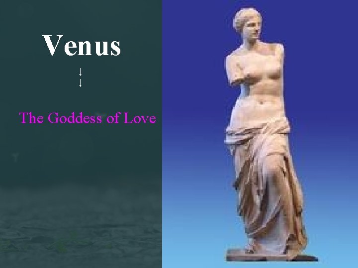 Venus ↓ ↓ The Goddess of Love 
