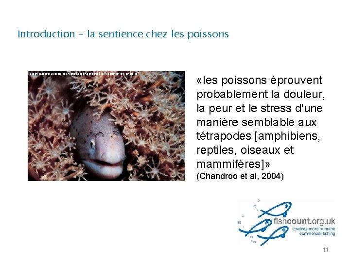 Introduction - la sentience chez les poissons Credit: National Oceanic and Atmospheric Administration/Department of