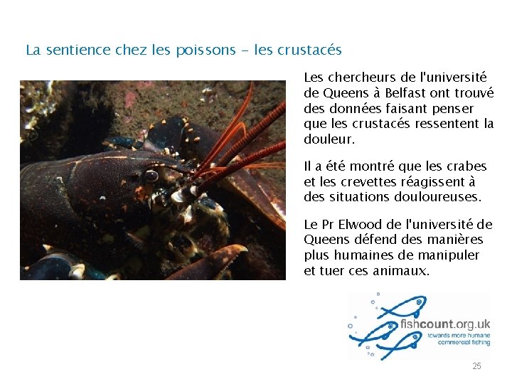 La sentience chez les poissons - les crustacés Les chercheurs de l'université de Queens