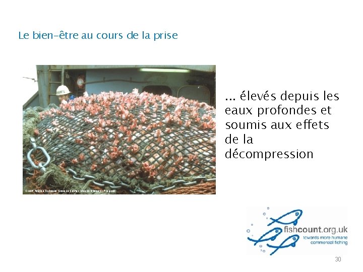 Le bien-être au cours de la prise . . . élevés depuis les eaux