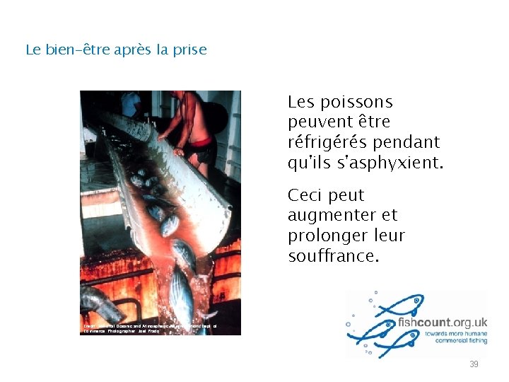 Le bien-être après la prise Les poissons peuvent être réfrigérés pendant qu'ils s'asphyxient. Ceci