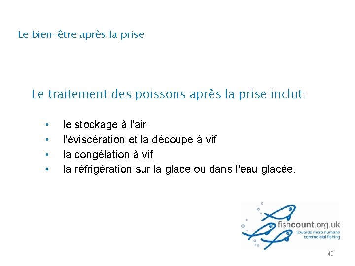 Le bien-être après la prise Le traitement des poissons après la prise inclut: •