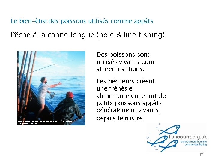 Le bien-être des poissons utilisés comme appâts Pêche à la canne longue (pole &