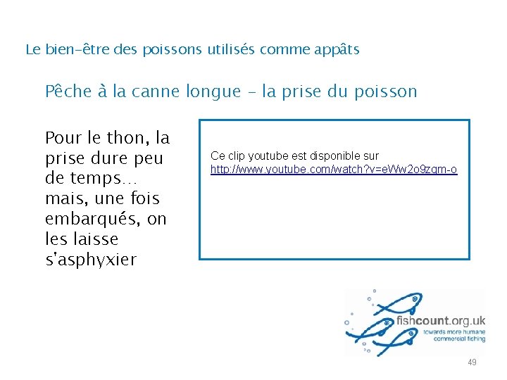 Le bien-être des poissons utilisés comme appâts Pêche à la canne longue - la