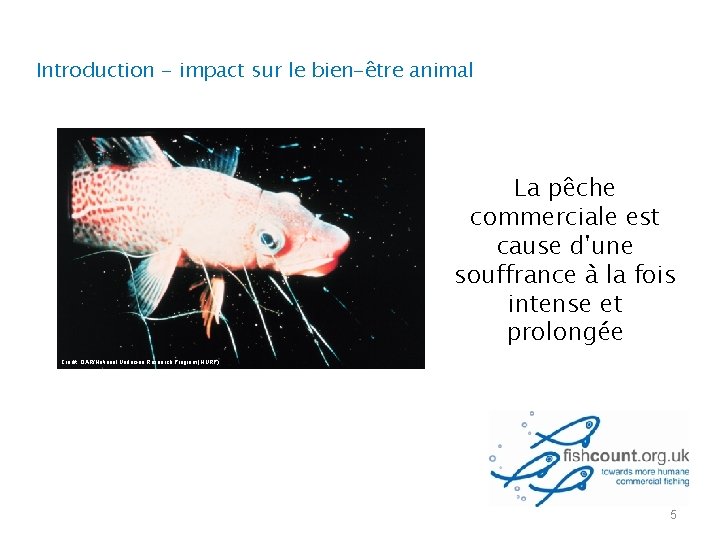 Introduction - impact sur le bien-être animal La pêche commerciale est cause d'une souffrance