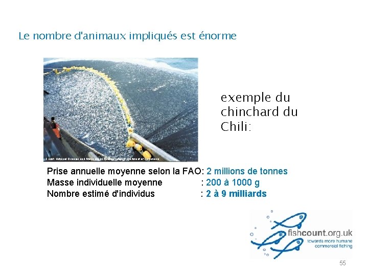 Le nombre d'animaux impliqués est énorme exemple du chinchard du Chili: Credit: National Oceanic