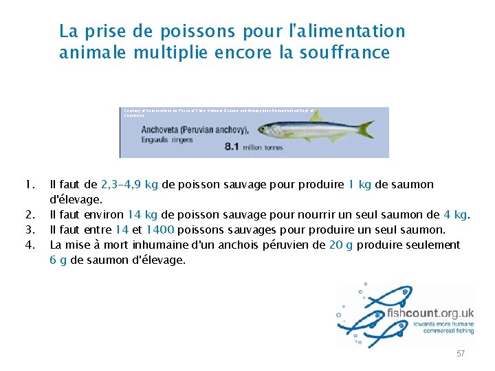 La prise de poissons pour l'alimentation animale multiplie encore la souffrance Courtesy of Subsecretaria