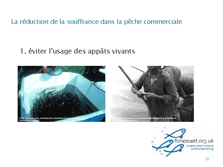 La réduction de la souffrance dans la pêche commerciale 1. éviter l'usage des appâts