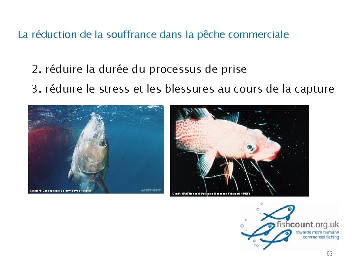 La réduction de la souffrance dans la pêche commerciale 2. réduire la durée du