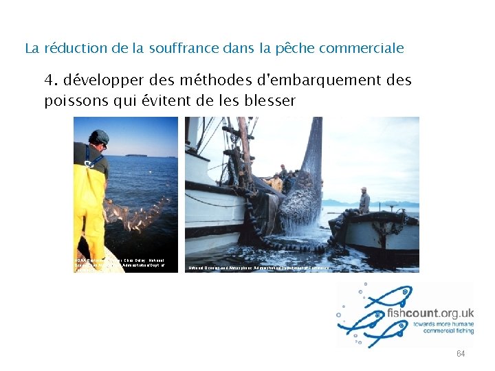 La réduction de la souffrance dans la pêche commerciale 4. développer des méthodes d'embarquement