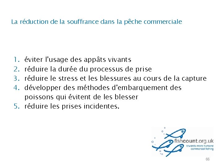 La réduction de la souffrance dans la pêche commerciale 1. 2. 3. 4. éviter