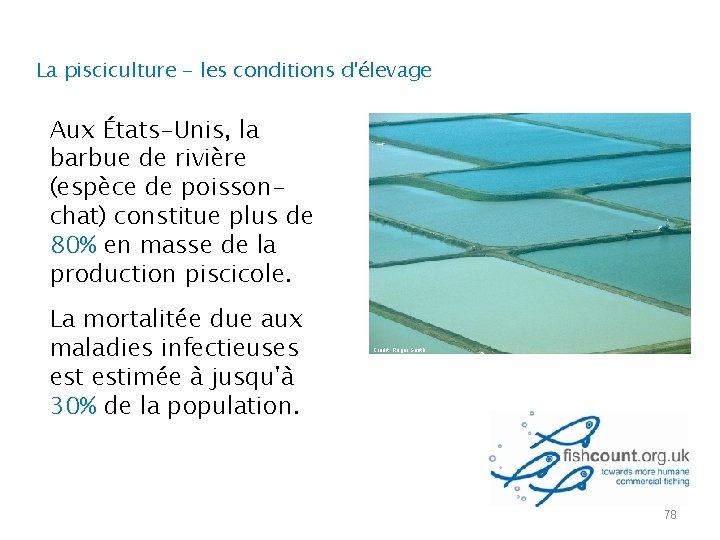 La pisciculture - les conditions d'élevage Aux États-Unis, la barbue de rivière (espèce de