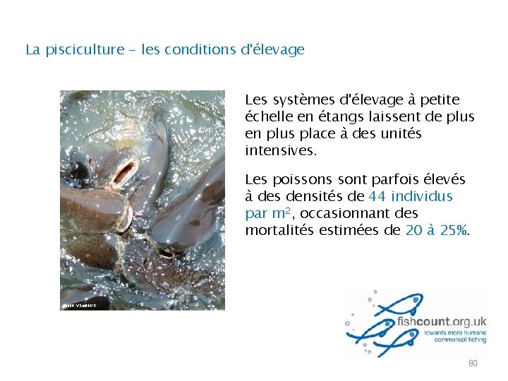 La pisciculture - les conditions d'élevage Les systèmes d'élevage à petite échelle en étangs