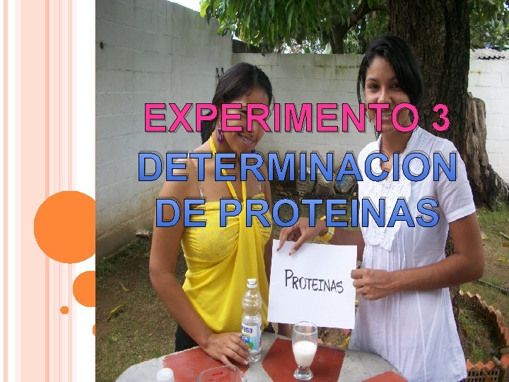 EXPERIMENTO 3 DETERMINACION DE PROTEINAS 