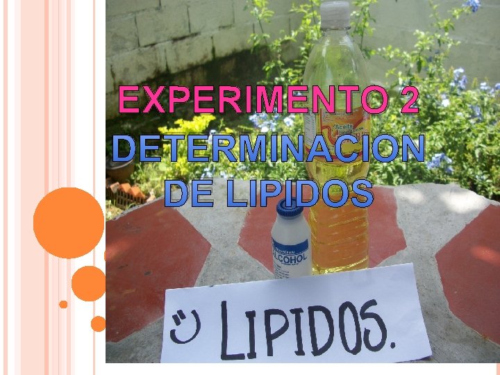 EXPERIMENTO 2 DETERMINACION DE LIPIDOS 