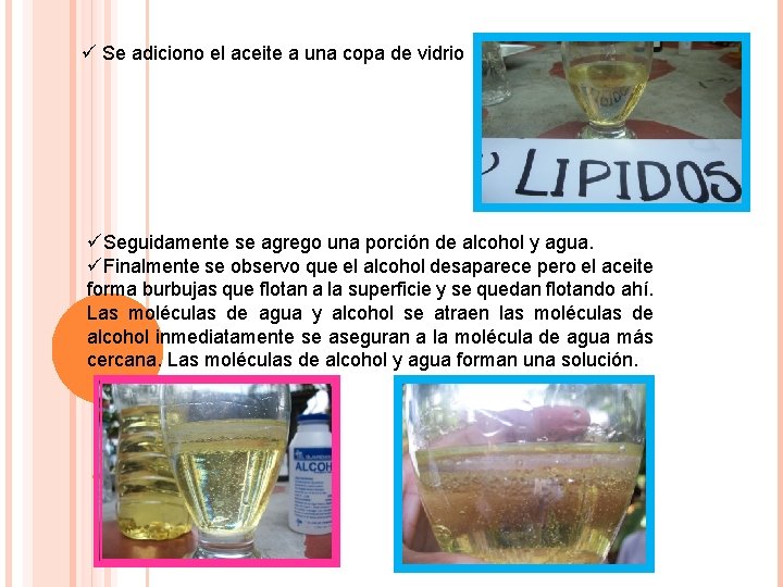 ü Se adiciono el aceite a una copa de vidrio üSeguidamente se agrego una