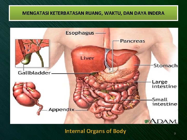 MENGATASI KETERBATASAN RUANG, WAKTU, DAN DAYA INDERA Internal Organs of Body 9 