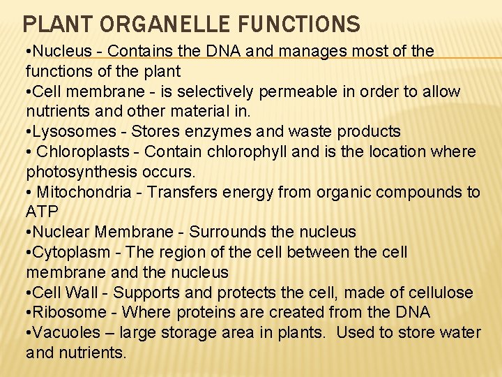 PLANT ORGANELLE FUNCTIONS • Nucleus - Contains the DNA and manages most of the