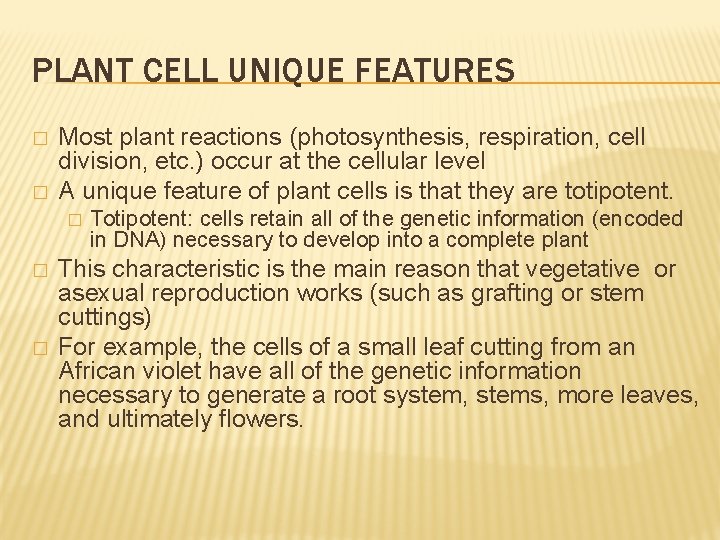 PLANT CELL UNIQUE FEATURES � � Most plant reactions (photosynthesis, respiration, cell division, etc.