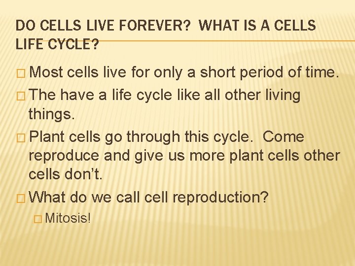 DO CELLS LIVE FOREVER? WHAT IS A CELLS LIFE CYCLE? � Most cells live